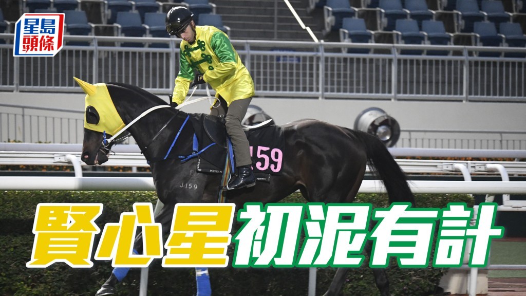 「賢心星」初出在谷草能夠上名質素不會太差，初跑泥地也值得一博。
