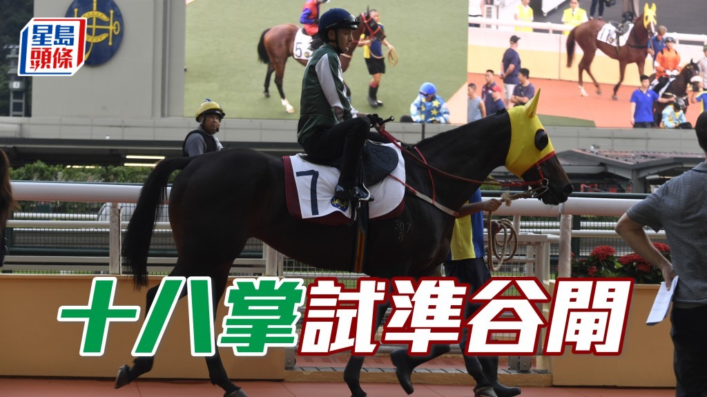 「十八掌」於九月二十日朝早在快活谷試閘，其馬主易國偉也有到場。