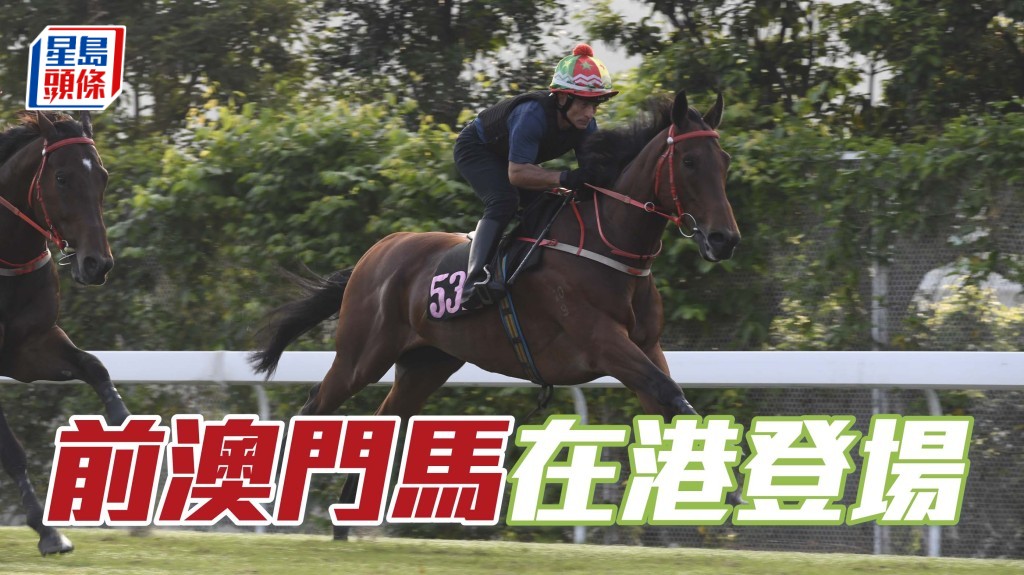 第三场叶厩的「银亮濠侠」是首匹登场的前澳门自购马，相信会成为其中一个焦点。