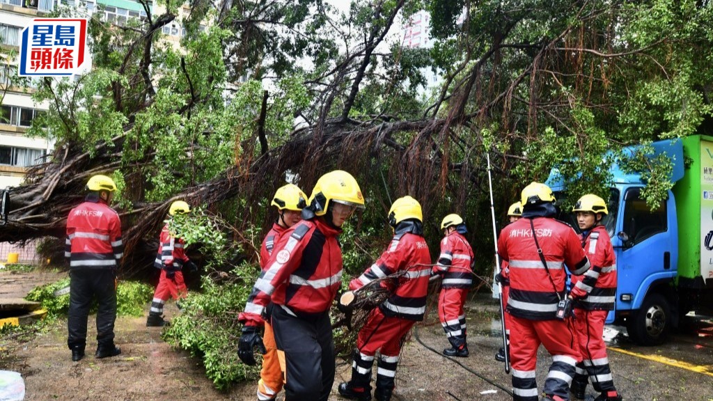 颱風樺加沙︱主要道路搶修後大致恢復 陳美寶：確保市民順利上班上課