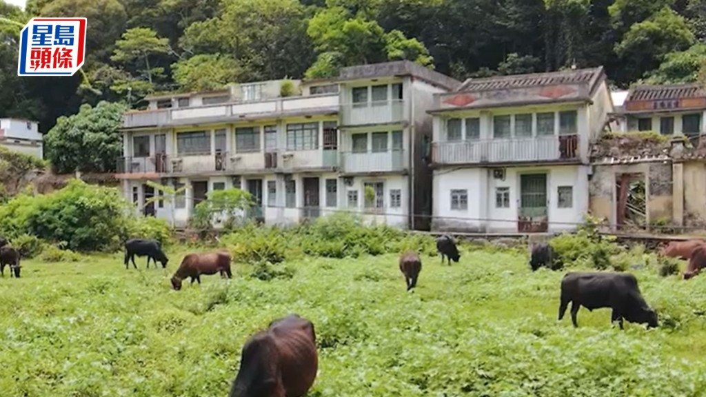 民政事務總署轄下牌照事務處公布兩份有關申請賓館牌照的指引，便利有意在鄉郊地區經營度假營或以鄉村屋宇經營民宿的人士申請相關牌照。資料圖片
