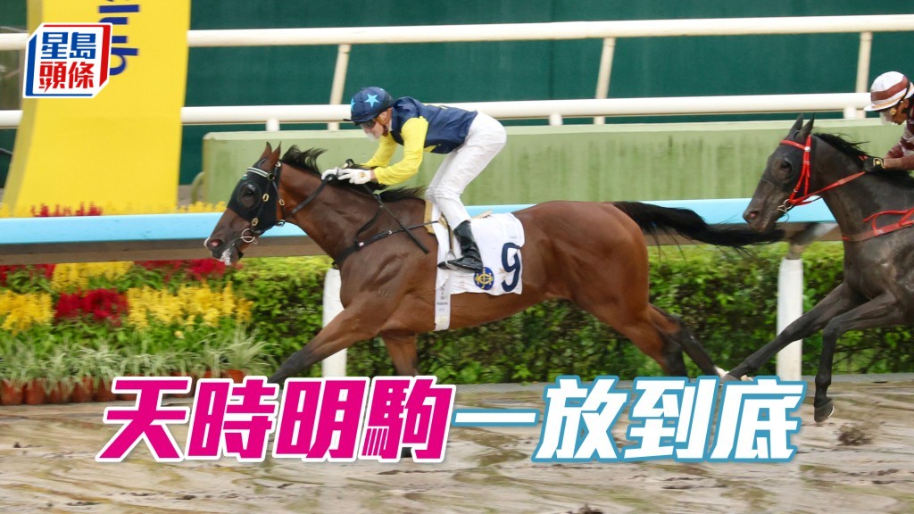 「天時明駒」一放到底