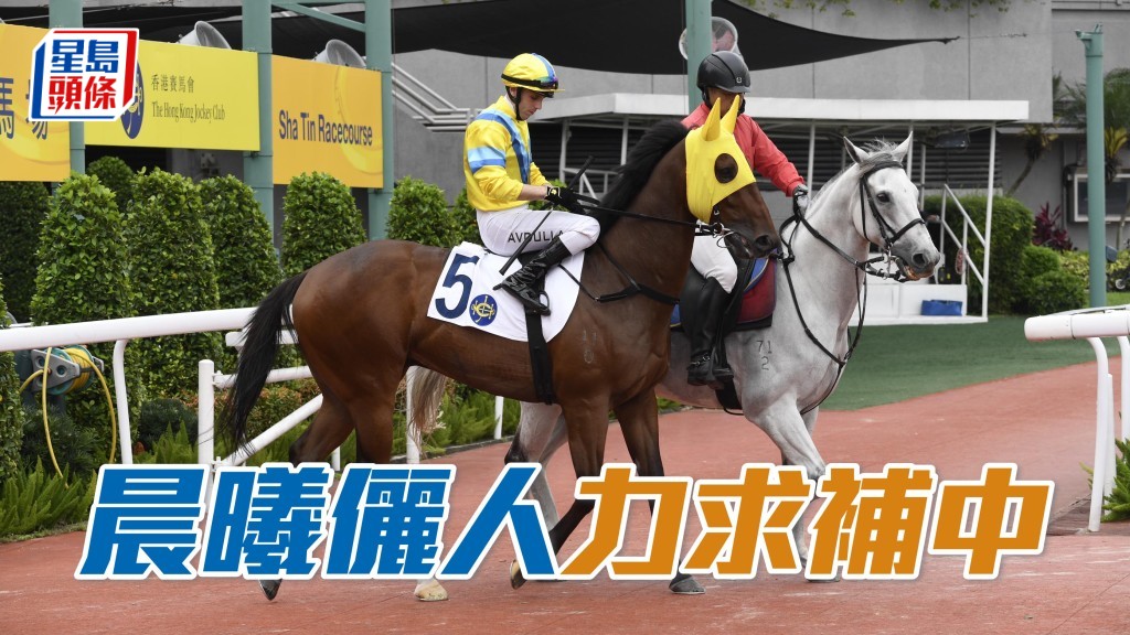 「晨曦儷人」初出同程只負於超班馬「天天同樂」跑得第二名，今次強敵已去，全力補中。