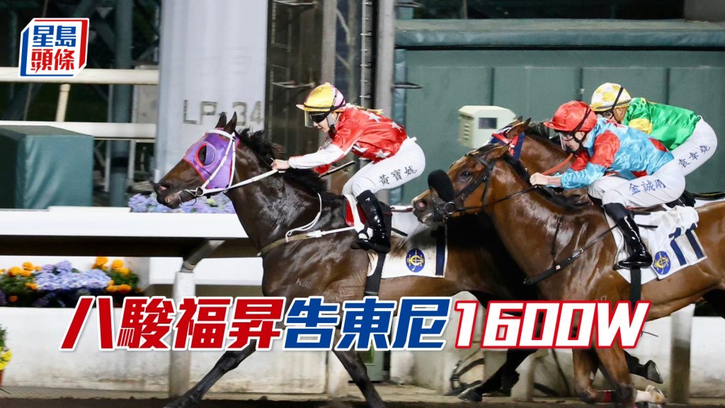 「八駿福昇」告東尼1600W