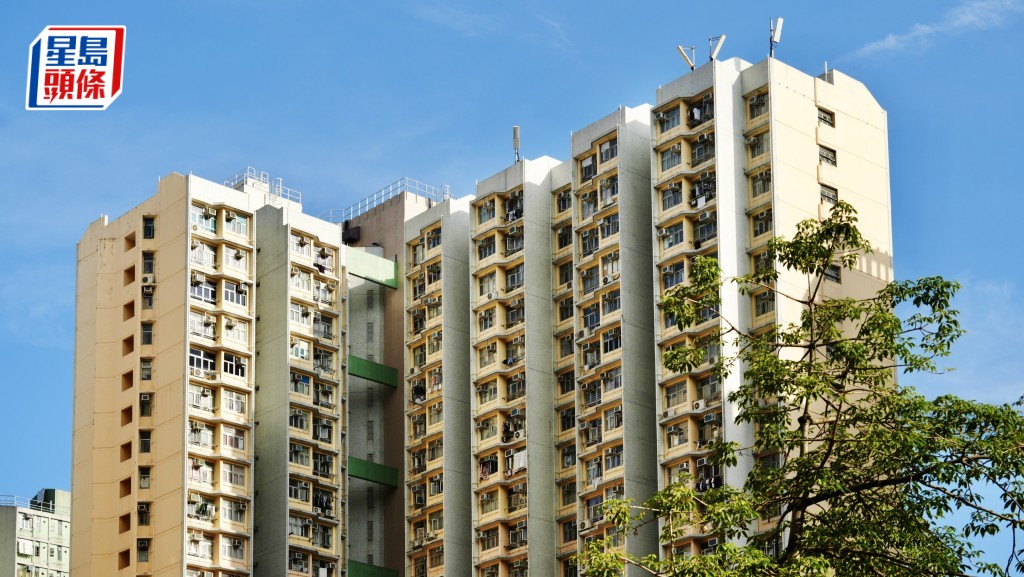 公屋｜房委會「屋邨管理扣分制」新增三不當行為 包括餵飼野鴿被扣七分 今年第四季實施