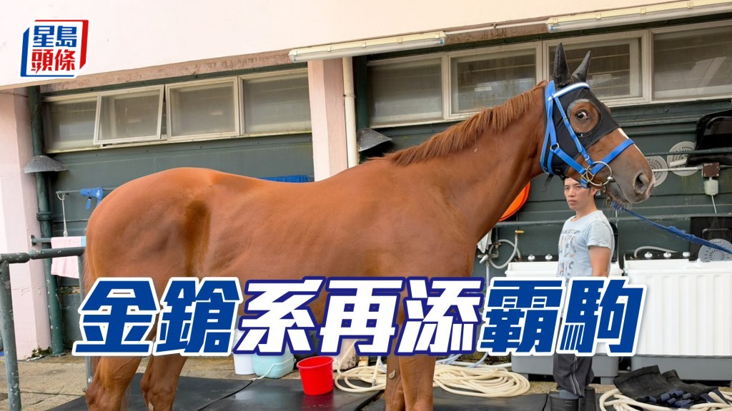 M212（相片来源：马主陈家梁提供）