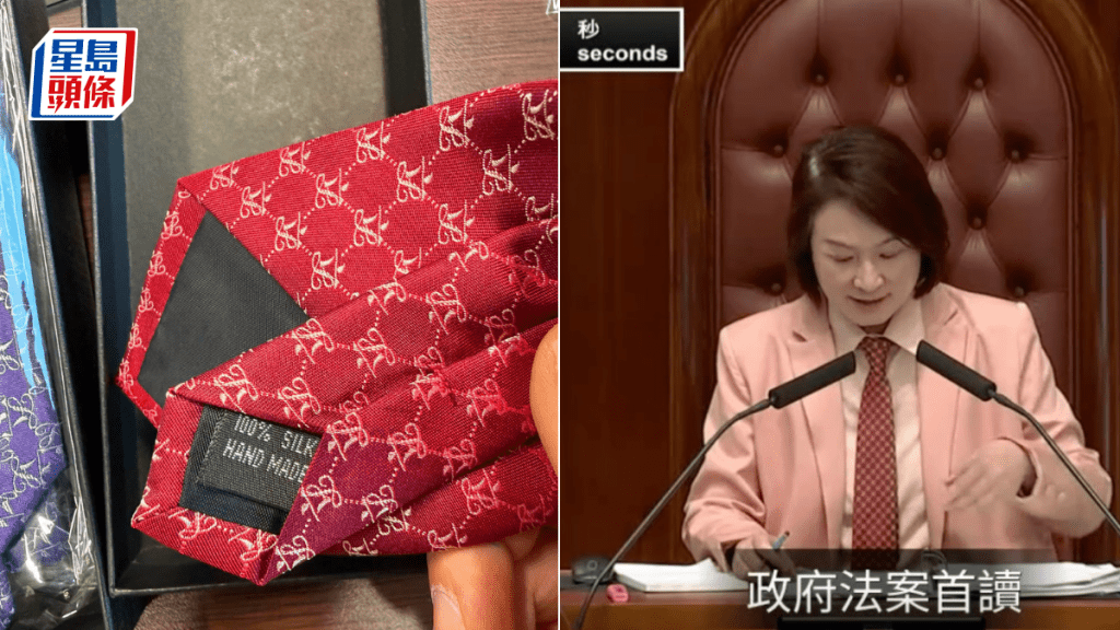 立法會訪京「校呔」 首曝光 李慧琼率先戴紅色領呔主持會議 議員讚：真抵打｜Kelly online