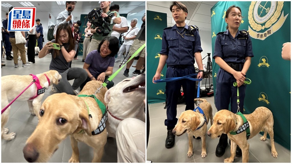 海關今舉行搜查犬BB命名大賽頒獎典禮。林思明攝