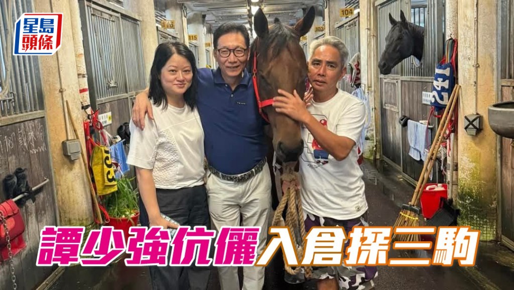 「駿皇」系馬主譚少強和太太，近期分別前往文家良和葉楚航馬房，探望名下的「駿皇金」、「駿皇逸」(K330) 和「駿皇勝」。