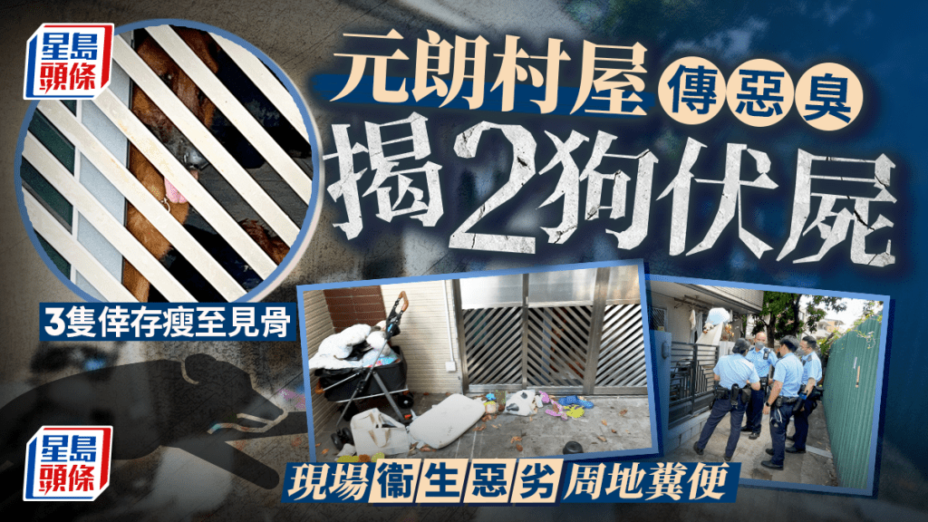 元朗新屋村單位傳惡臭 揭2狗伏屍遺3狗倖存 警列虐待動物尋主人