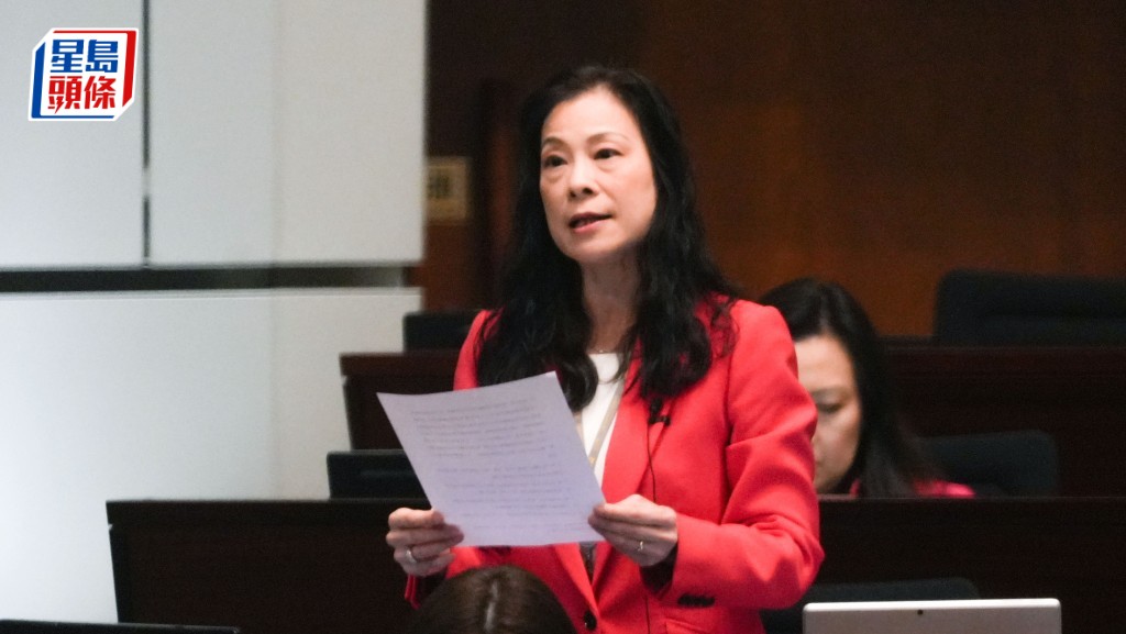 全國人大代表、選委界立法會議員陳曼琪遞交施政報告建議。資料圖片