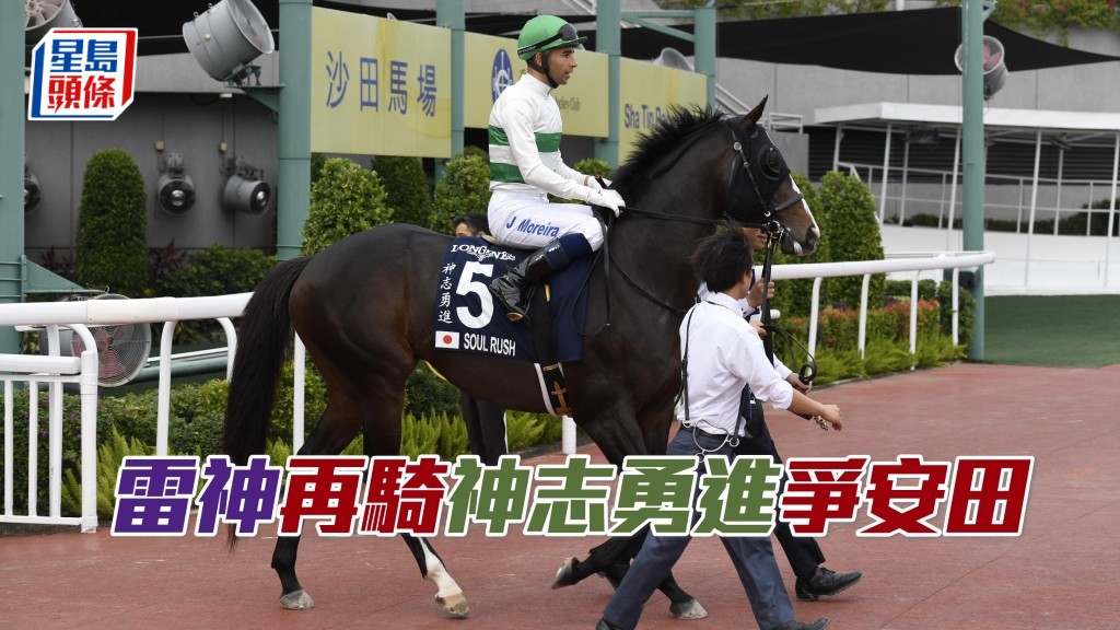 「神志勇進」下仗目標是下月二日東京競馬場舉行的安田紀念賽，並交由莫雷拉主轡。