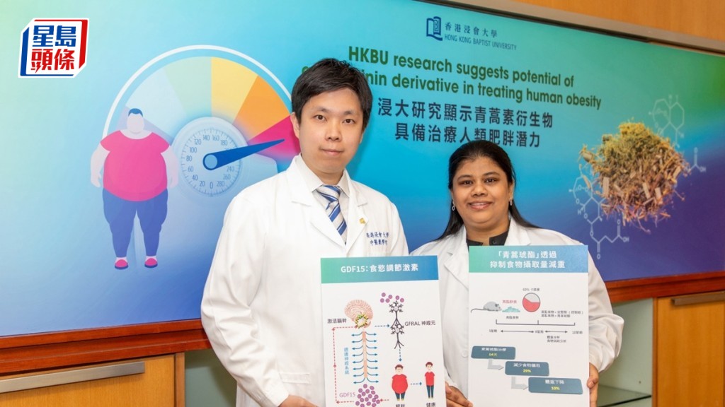 浸大研究指青蒿素衍生物能減重降脂 具開發為減肥藥潛力