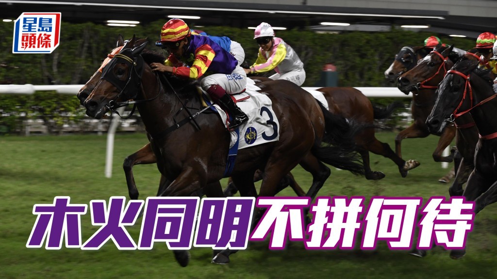 「木火同明」近三季的頭馬均出自田泰安，抽排二檔好跑，鄭俊偉仍未上岸，不拼何待。