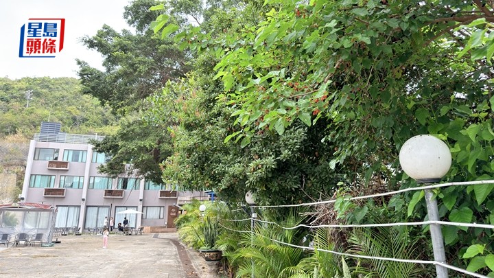 男子租度假屋遊休假，嬉水後全身濕透摘野莓，誤碰燈柱觸電亡。梁國峰攝