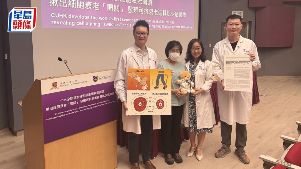 香港中文大學醫學院首創人類骨骼肌細胞衰老圖譜，掌握人類骨骼肌細胞衰老特徵及調控機制。何姵妤攝