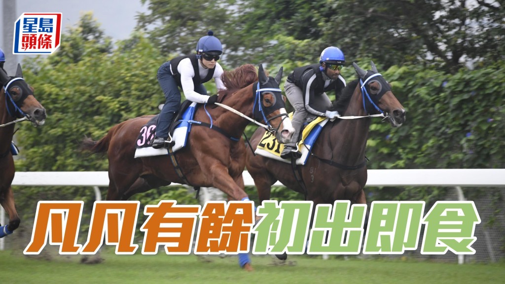 范思浩的生力軍「凡凡有餘」(近鏡) 將在港初出，角逐第九場三班千四米。
