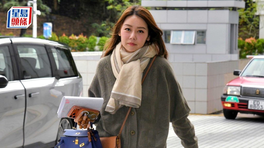 張韋怡認曾買假名牌手袋，但解釋為此舉為助鑑定真偽，保障其經營名牌手袋生意的客人。何健勇攝