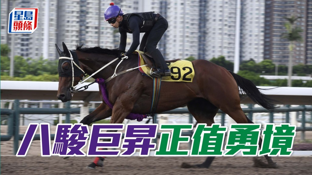  「八駿巨昇」試來精神爽利，步順輕快有彈力，馬身保持壯健，朝氣旺盛，正值勇境。