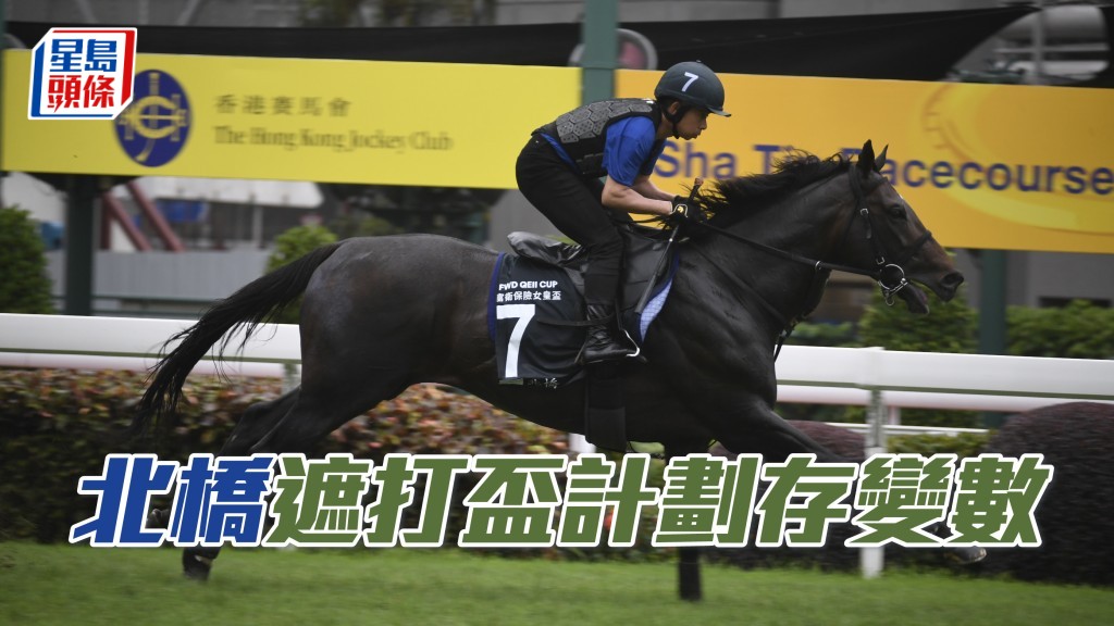 「北橋」本來有意在競逐女皇盃後繼續留港，以便參加下月二十六日舉行的一級賽香港冠軍暨遮打盃，現時或未能如願。