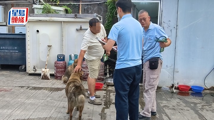 涉事货仓的负责人贺先生，上月曾让渔护署人员为狗只检查晶片。资料图片