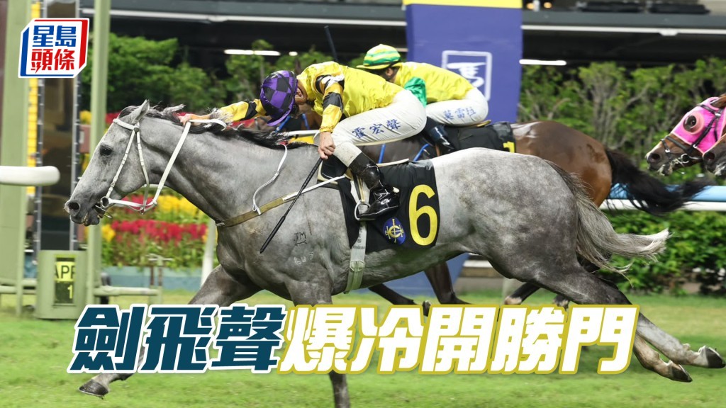 「剑飞声」爆冷开胜门