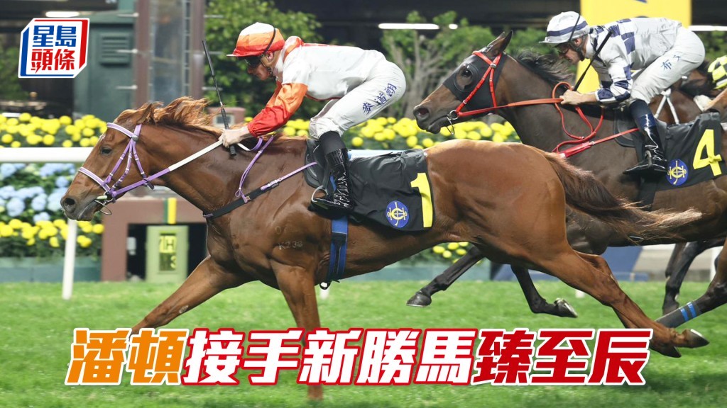 「臻至辰」周三將由潘頓接手。