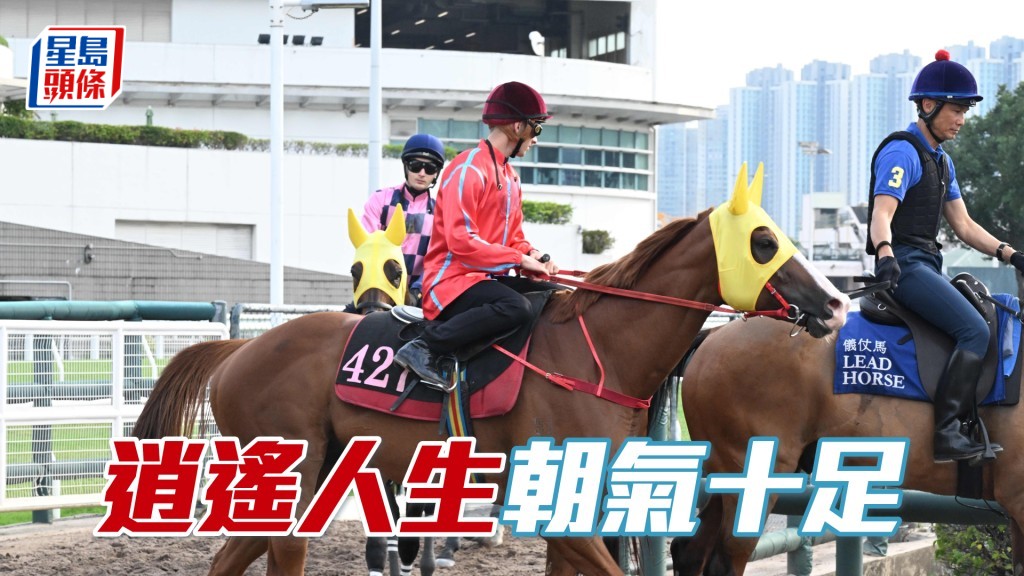 「逍遙人生」豎起雙耳目光銳利，弗到不得了。
