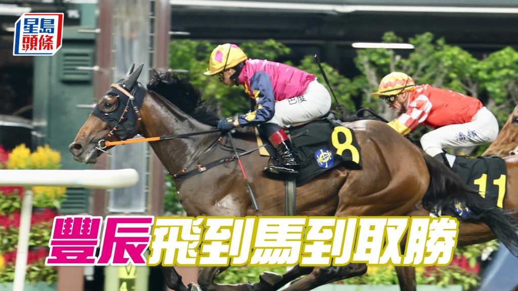「豐辰」飛到馬到取勝