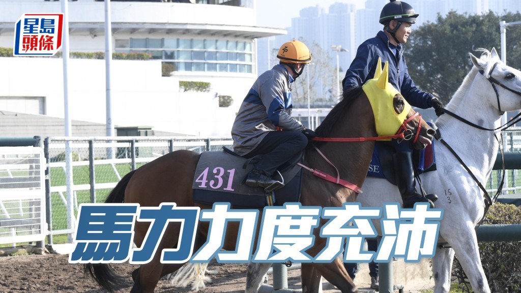 「馬力」一貫搶走心火湧現，神采奕奕重現勇態。