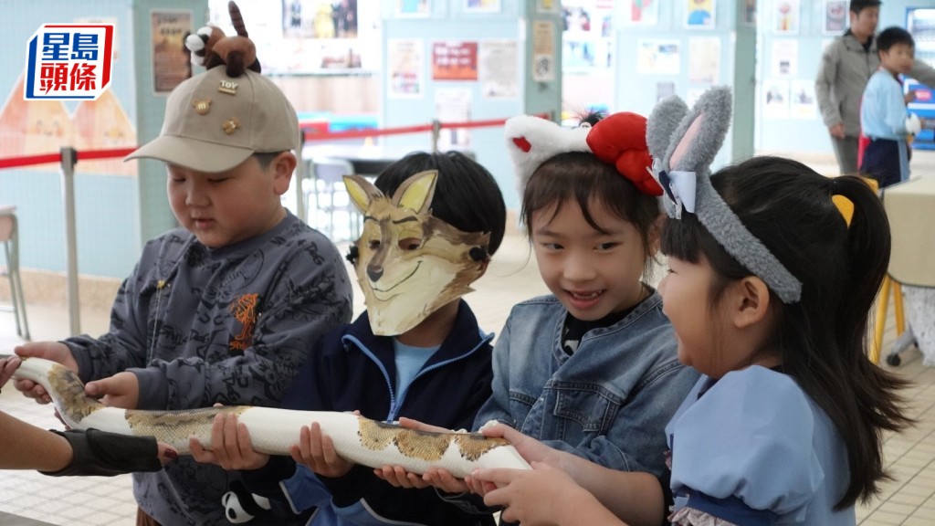 聖公會將軍澳基德小學早前舉行以動物為主題的英語日，學生可帶寵物回校或打扮成動物上學。校方提供