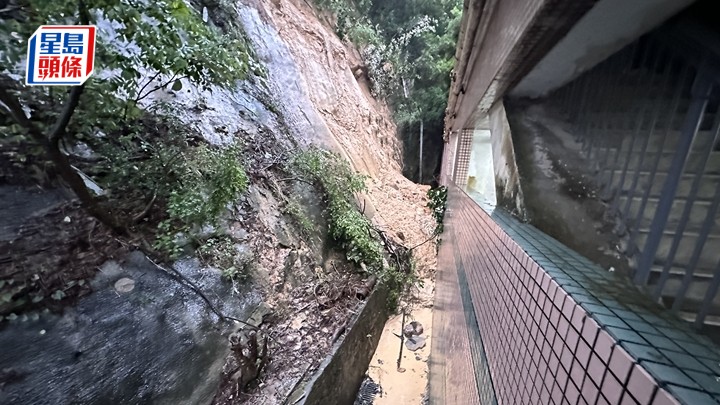 嘉翠園「冧山泥」。梁國峰攝