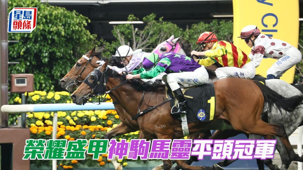 「荣耀盛甲」「神驹马灵」平头冠军