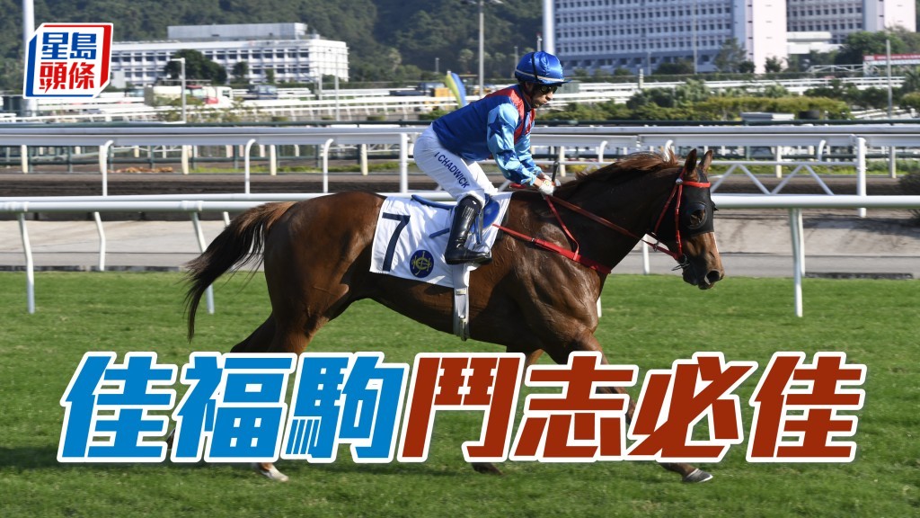巫偉傑當望盡快為「佳福駒」打開勝門，報答馬主洪祖杭的支持。