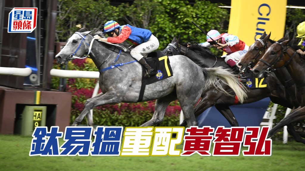 「鈦易搵」在港六捷中，有四場頭馬是由黃智弘建功。