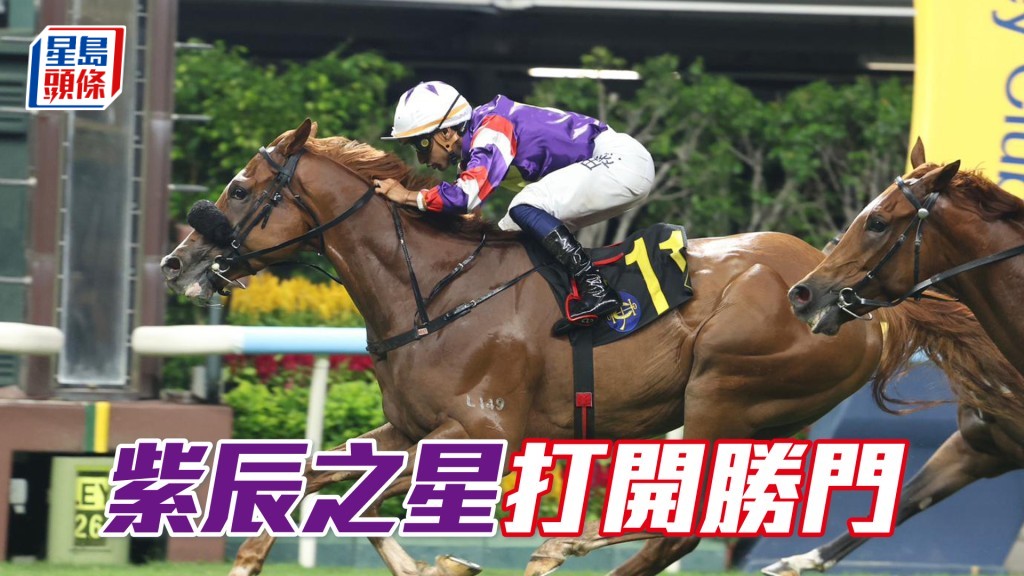 「紫辰之星」打開勝門