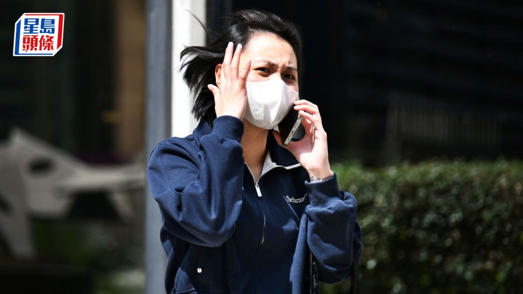 林淑芳協助男友抹走車上指紋，判監18個月。資料圖片