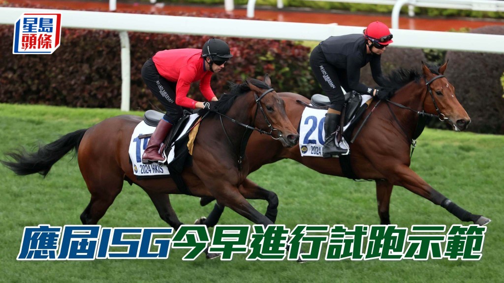 今屆香港國際馬匹拍賣會拍賣馬匹，今早於沙田進行試跑示範。