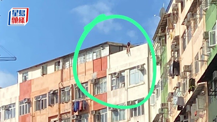 少女危坐天台圍欄上。 網圖