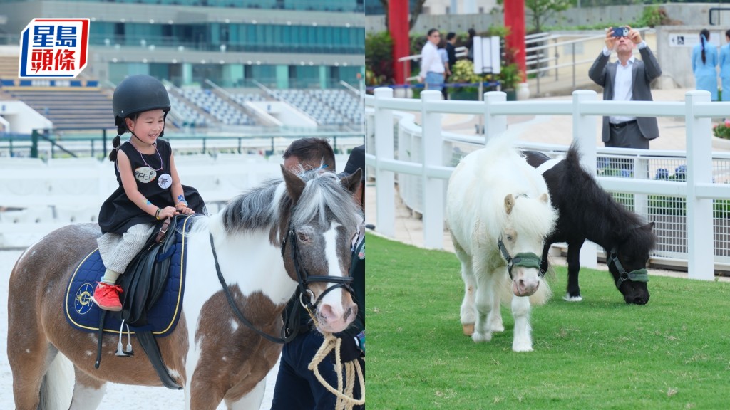 彭福公園全新社區設施「小馬大本營」落成 6.22開放 設小馬策騎等五大主題