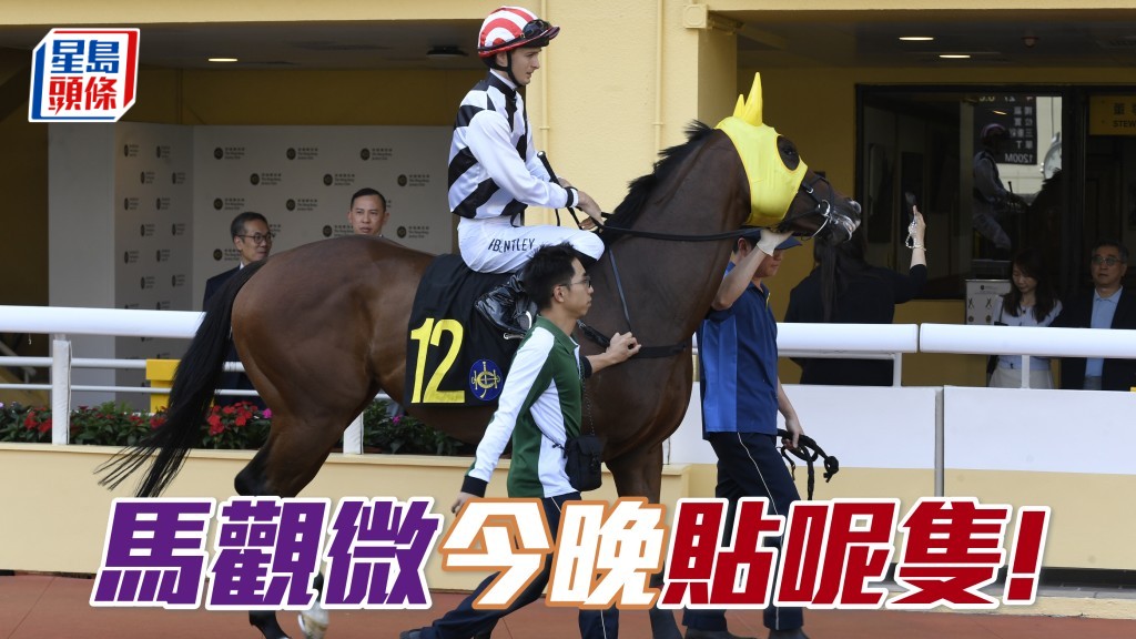 「花好月盈」德来容易