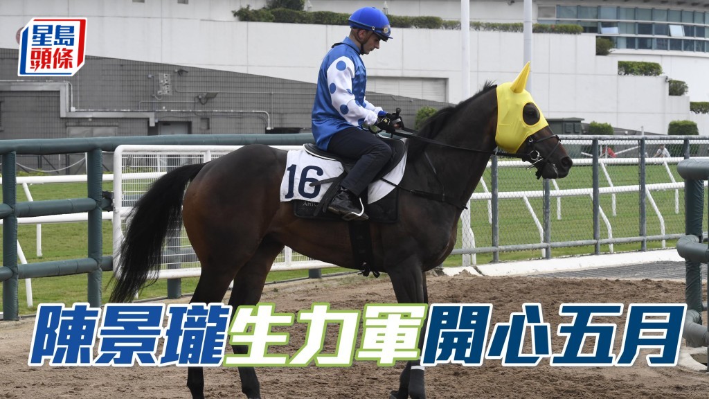 陳璟瓏今次派出生力軍「開心五月」在港上陣,且看能否為他帶來驚喜。