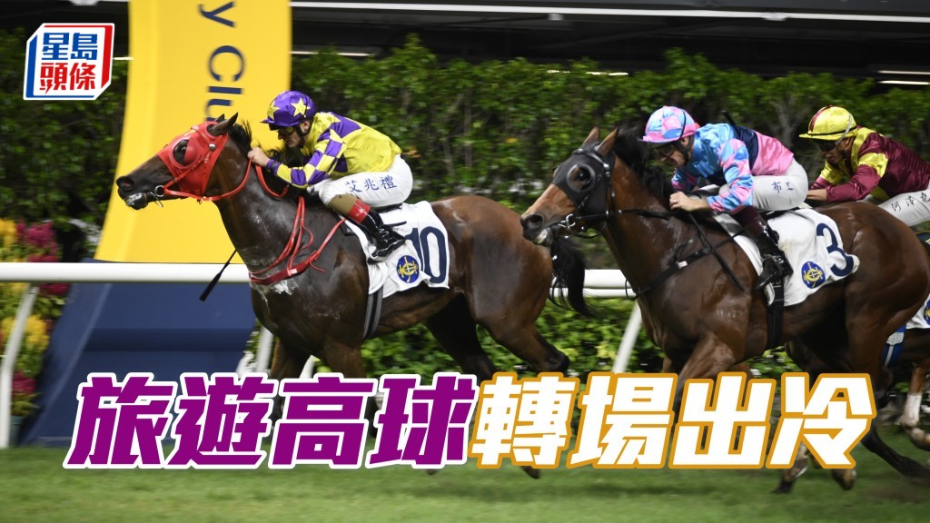 「旅游高球」热身后今仗转跑田草但排一档，可憧憬廖厩又有佳作。