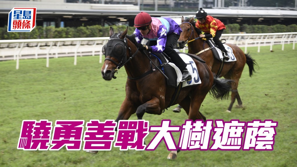 「驍勇善戰」可跟守領放馬，再伺機一攻而破。