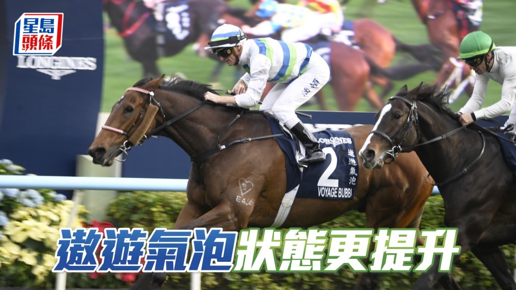 馬主程俊華及騎練都對「遨遊氣泡」出爭董事盃有信心。