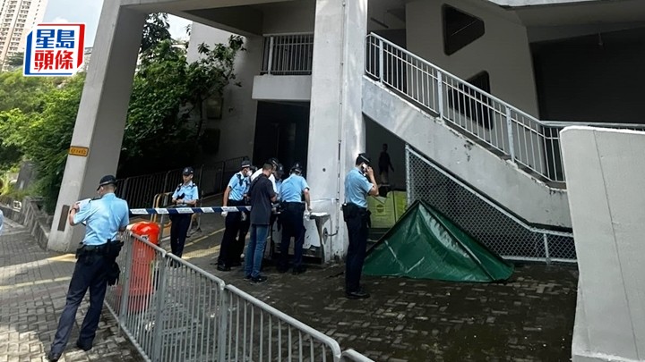 女子由天桥堕地死亡。杨伟亨摄