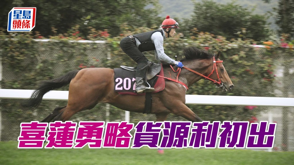 沈集成馬房的「喜蓮勇略」來港前於英國兩勝直路賽。