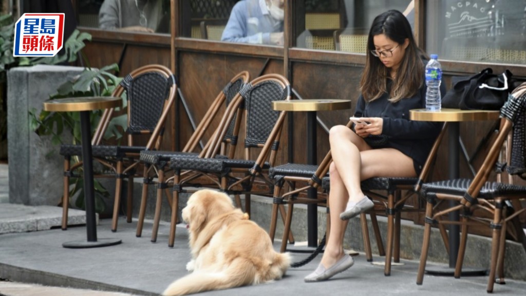 新一份《施政報告》提到推廣寵物友善及簡化食肆發牌制度，讓食肆經營者申請，容許狗隻進入食肆。資料圖片