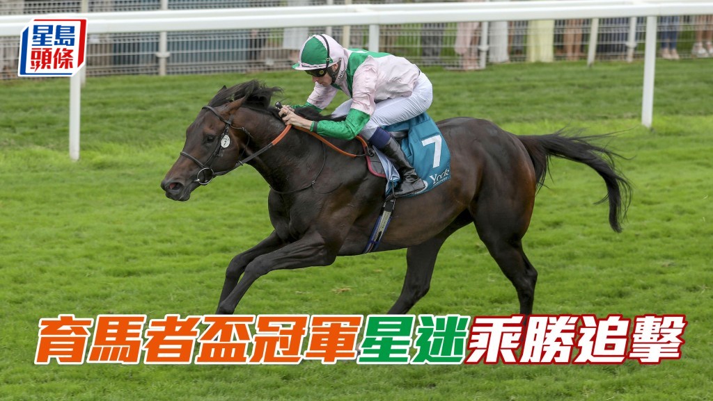 育马者杯冠军「星迷」 ，力争浪琴香港短途锦标再下一城。