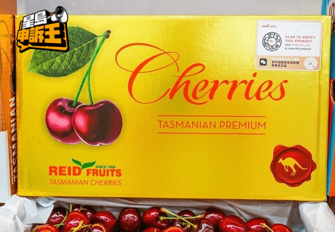 Zoey認為今年性價比最高是金袋鼠。